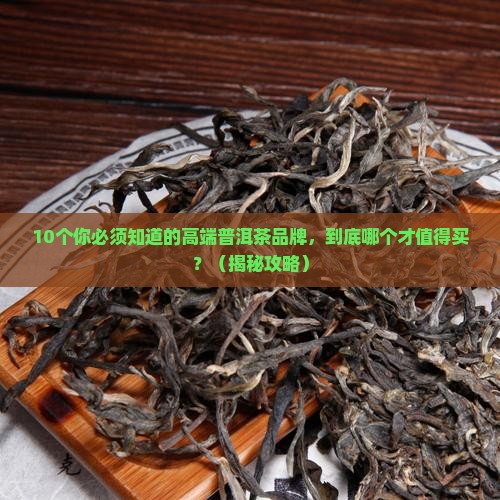 高端普洱茶十大名牌