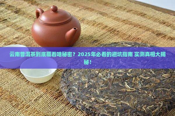 云南普洱茶舆情