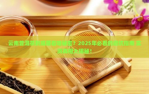 云南普洱茶舆情