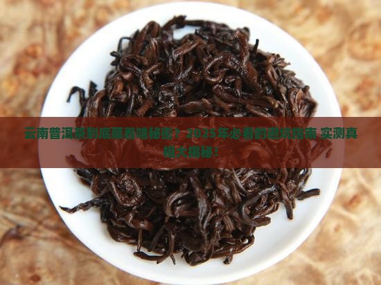 云南普洱茶舆情