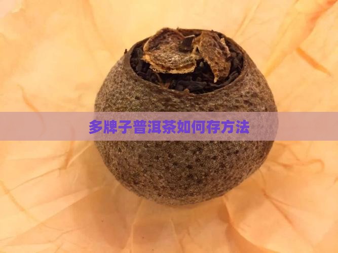 多牌子普洱茶如何存