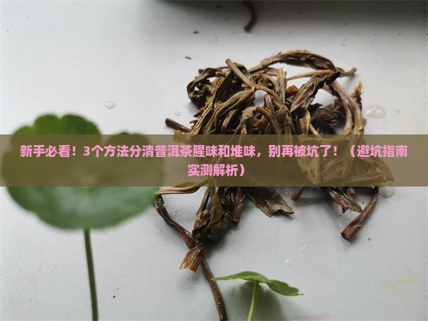 普洱茶腥味和堆味区别