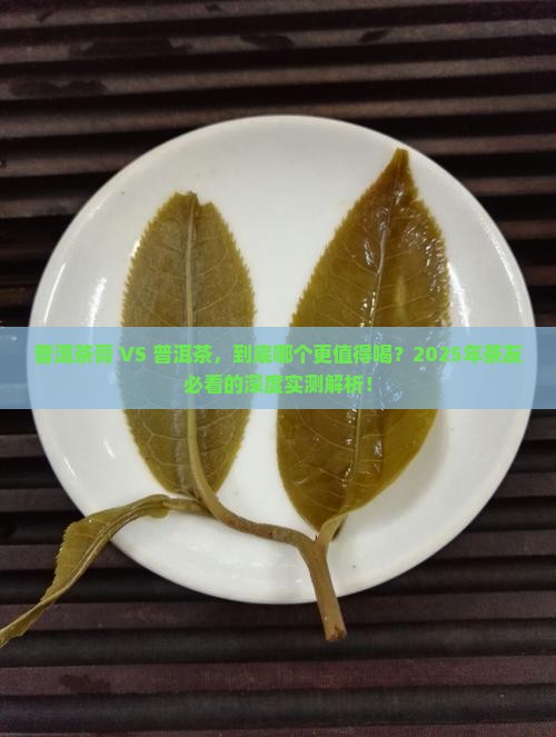 普洱茶膏喝普洱茶哪个好