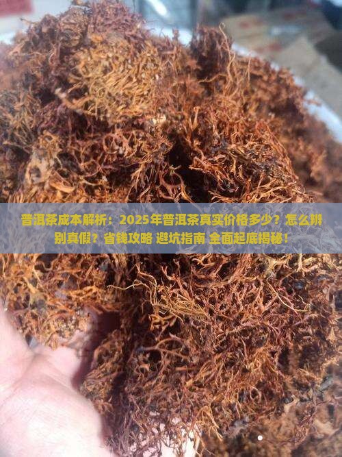 普洱茶的成本有多少元钱