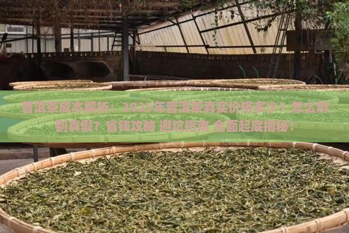 普洱茶的成本有多少元钱