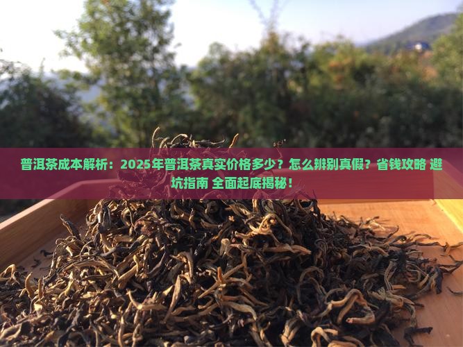 普洱茶的成本有多少元钱