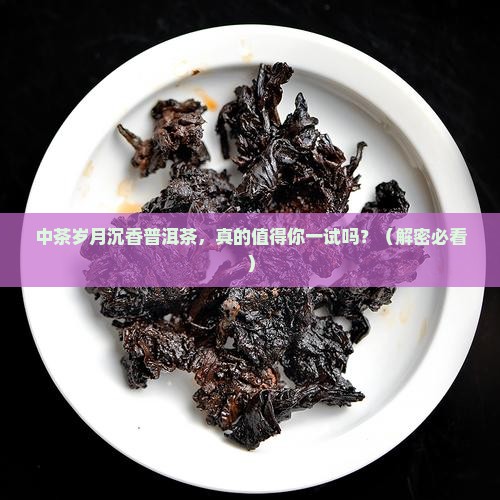 中茶岁月沉香普洱茶