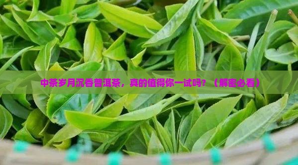中茶岁月沉香普洱茶