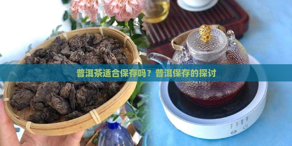 普通普洱茶适合保存吗