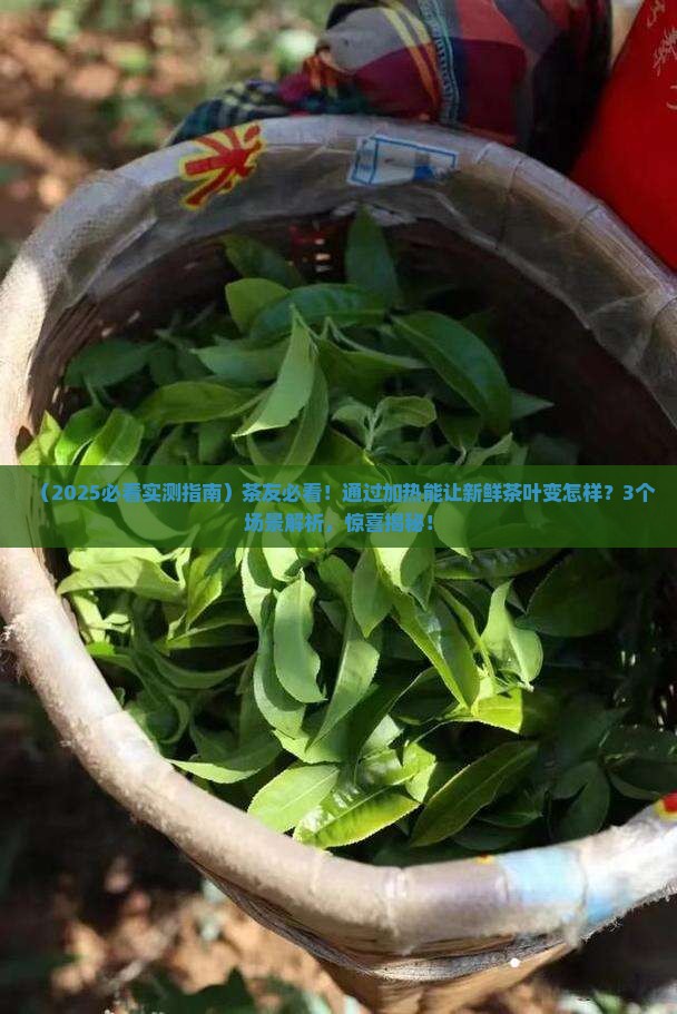 通过加热能使新鲜的茶叶 通过加热能使新鲜的茶叶