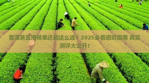 普洱茶直播榜单推荐
