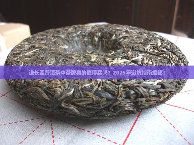 送长辈普洱茶中茶牌