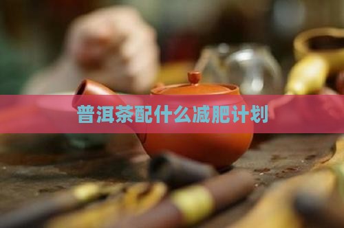 普洱茶配什么减肥计划