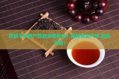 碎银子产地是在勐海什么地方