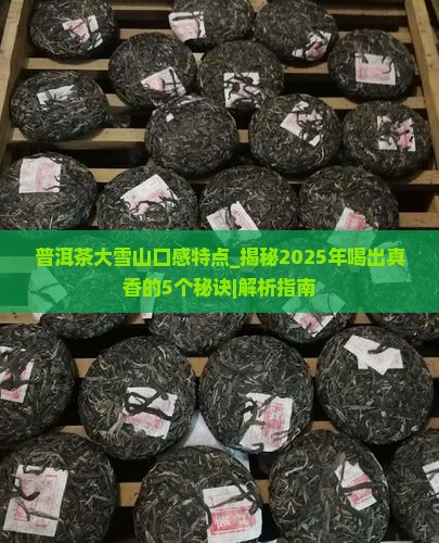 普洱茶大雪山口感特点