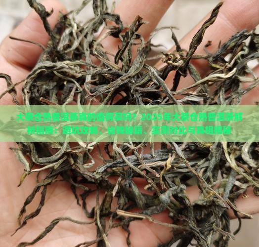 大茶仓熟普洱茶