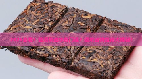 普洱茶不选水吗