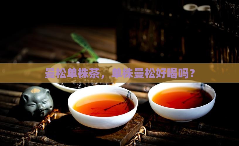 曼松单株茶好喝吗