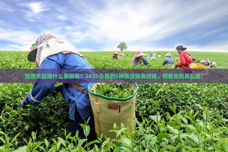 熬夜长痘喝什么茶排毒