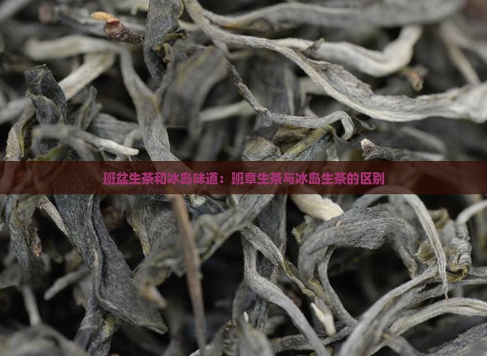 班盆生茶和冰岛味道