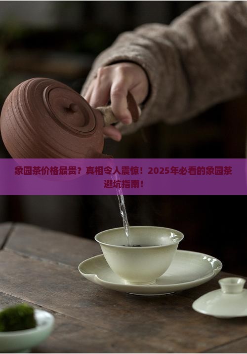 象园茶价格最贵