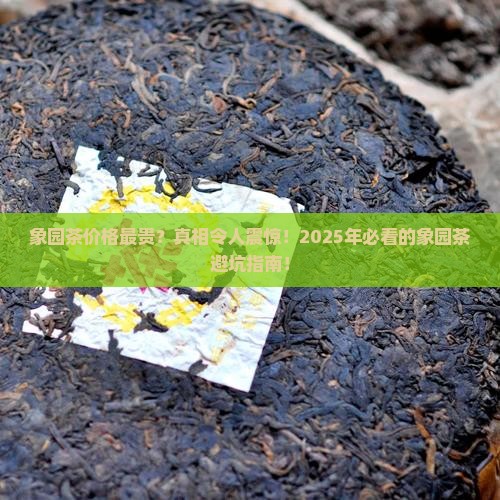 象园茶价格最贵