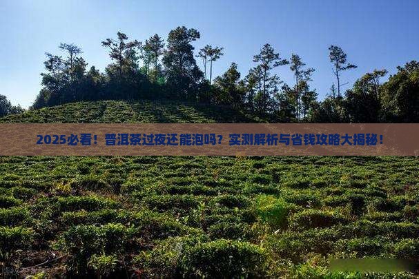 普洱茶能过夜再泡嘛