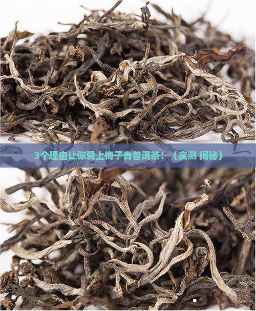 梅子青普洱茶有什么好