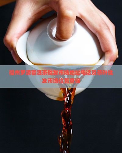 福州罗源普洱茶批发