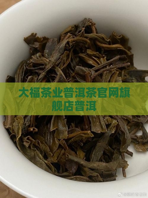 今大福普洱茶官网旗舰店