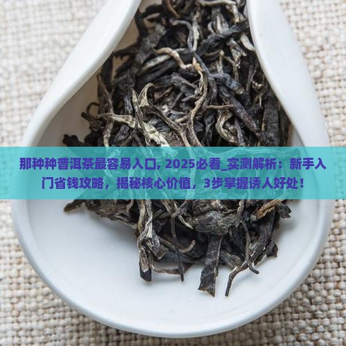 那种种普洱茶最容易入口