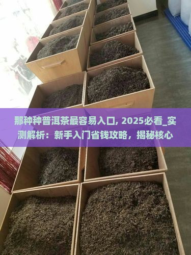 那种种普洱茶最容易入口