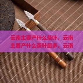 云南主要产什么茶叶