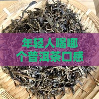 年轻人喝哪种普洱茶