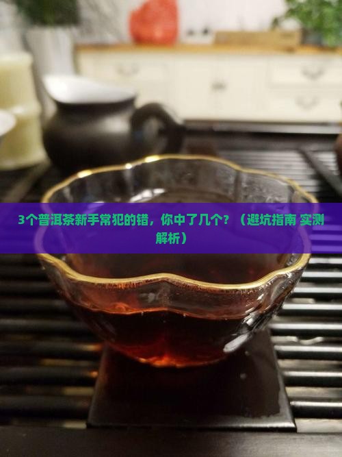 普洱茶购买藏价值及功效