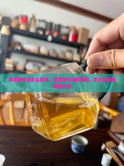普洱茶里有油是怎么回事