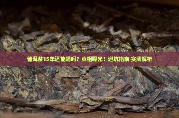 普洱茶15年能吃吗有毒吗