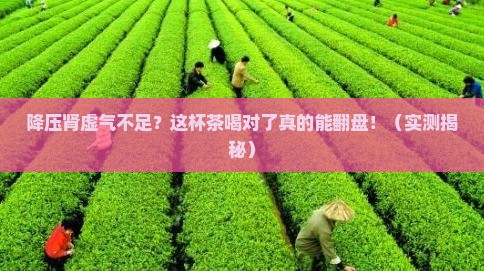 降压肾虚补气喝什么茶好 降压肾虚补气喝什么茶好