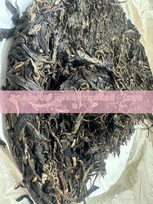 降压肾虚补气喝什么茶好 降压肾虚补气喝什么茶好