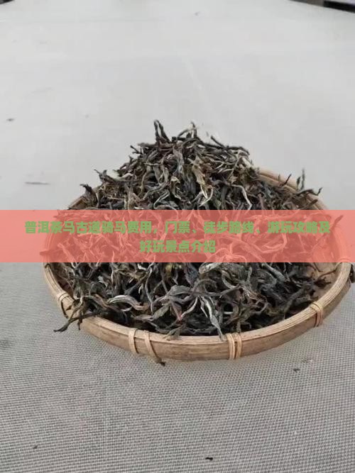 普洱茶马古道骑马费用