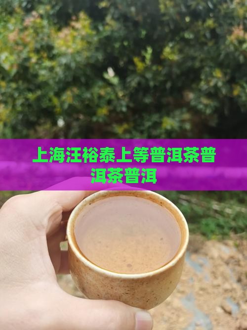 汪裕泰上等普洱茶