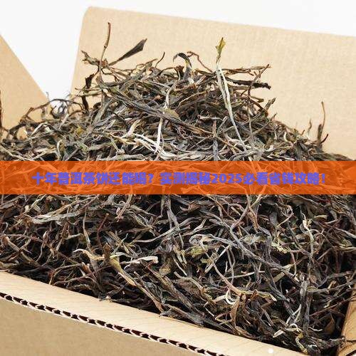 普洱茶饼十年了还能喝吗吗 普洱茶饼十年了还能喝吗吗