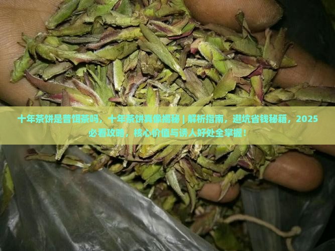 十年茶饼是普饵茶吗