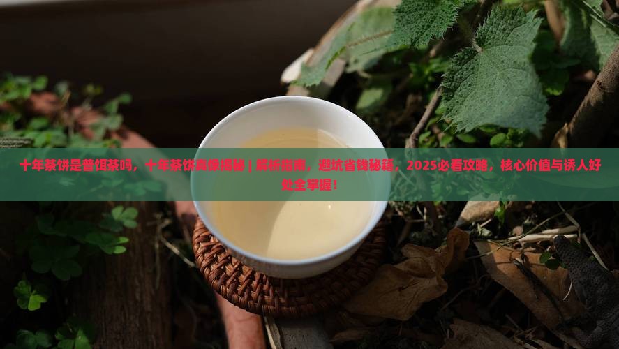 十年茶饼是普饵茶吗