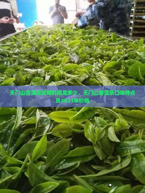 天门山普洱茶试喝时间是多少