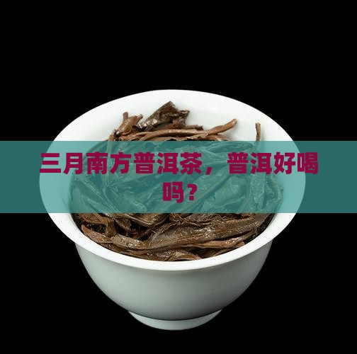 南方三月普洱茶好喝吗