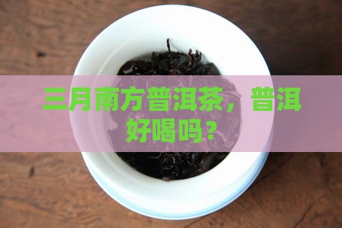南方三月普洱茶好喝吗