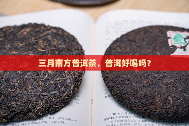 南方三月普洱茶好喝吗