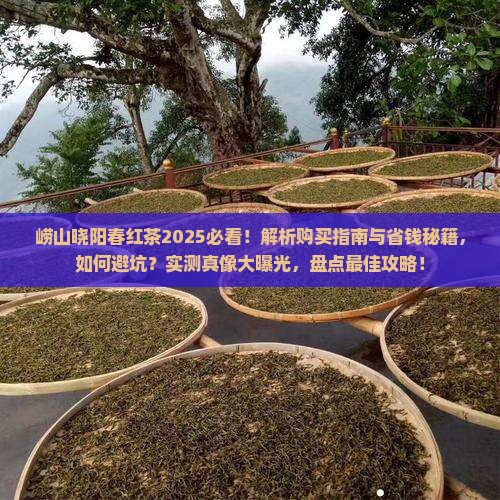 崂山晓阳春红茶特价