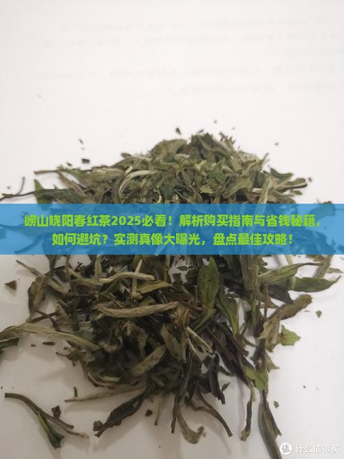 崂山晓阳春红茶特价